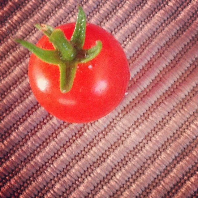 Tomato 2015
